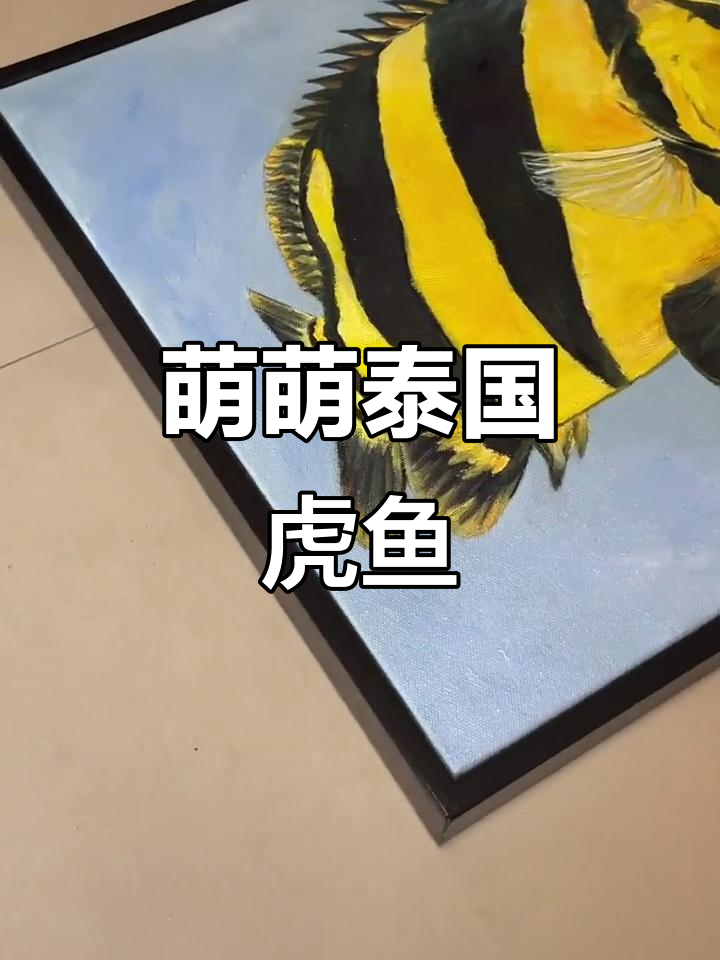 泰国虎鱼萌画,快来看看你喜欢吗?