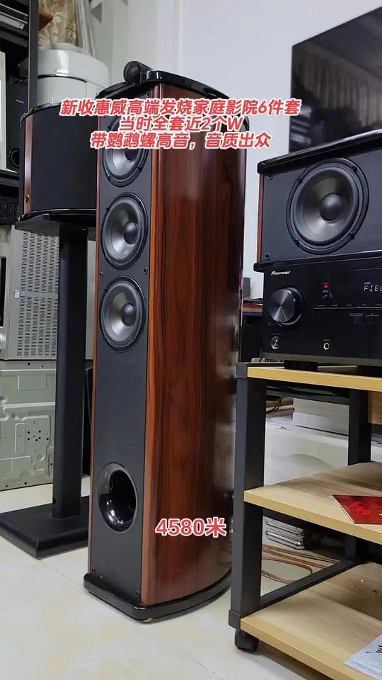 带鹦鹉螺高音,外观大气,音质出众!这是武侯区粉丝家拉回的惠威高端发烧家庭影院落地音响,三分