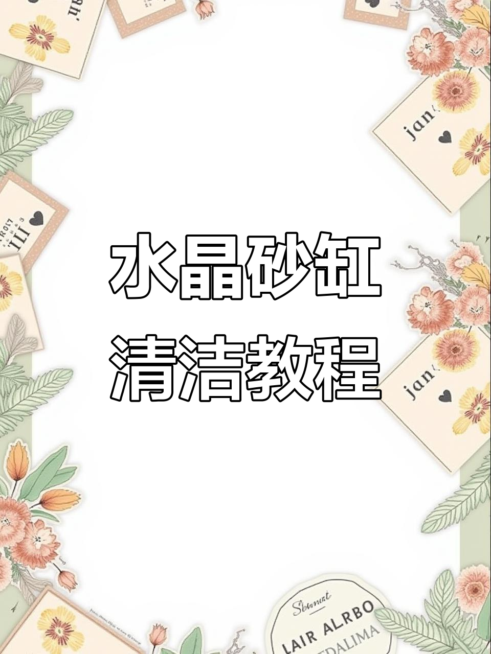 虾缸大清理，水晶砂缸整理技巧揭秘