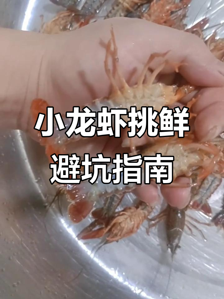 夏季小龙虾挑选技巧,如何辨别新鲜与变质的肉质