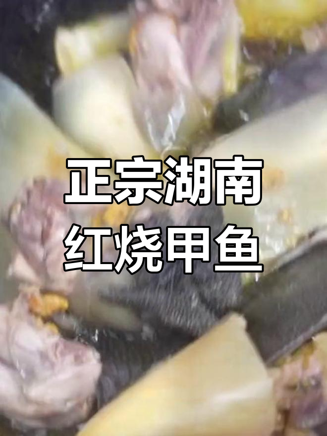 湖南正宗红烧甲鱼,配料丰富口感十足