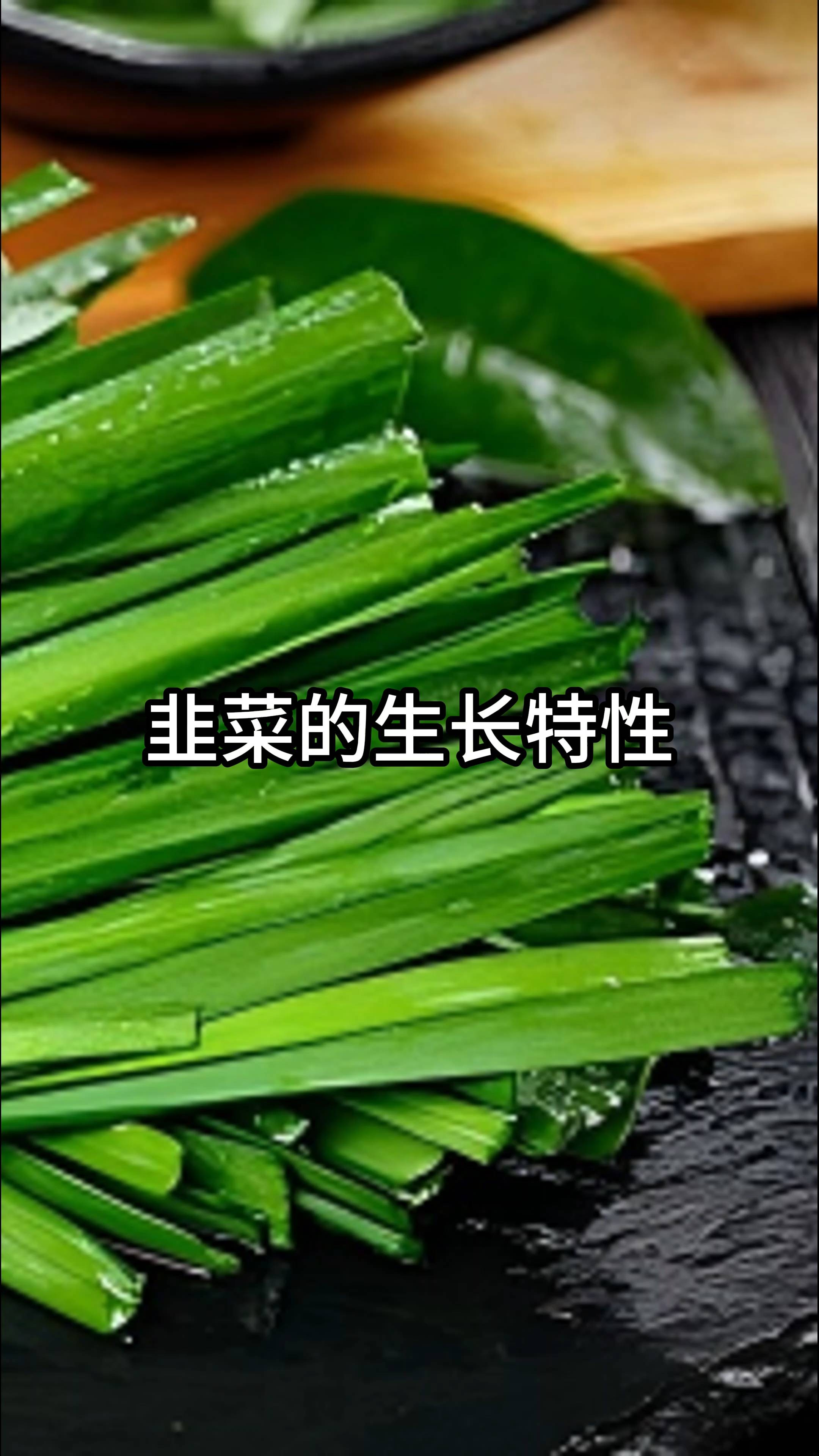 韭菜的生长特性