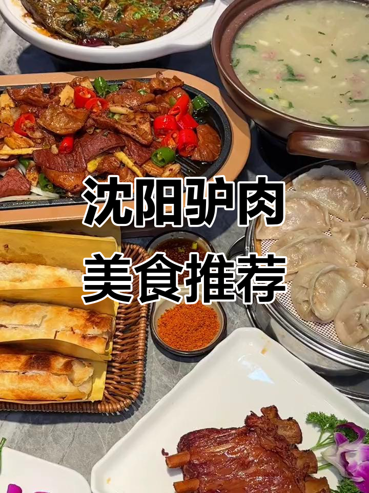 沈阳铁西驴肉火烧,热腾腾的蒸饺和驴杂汤等你来尝