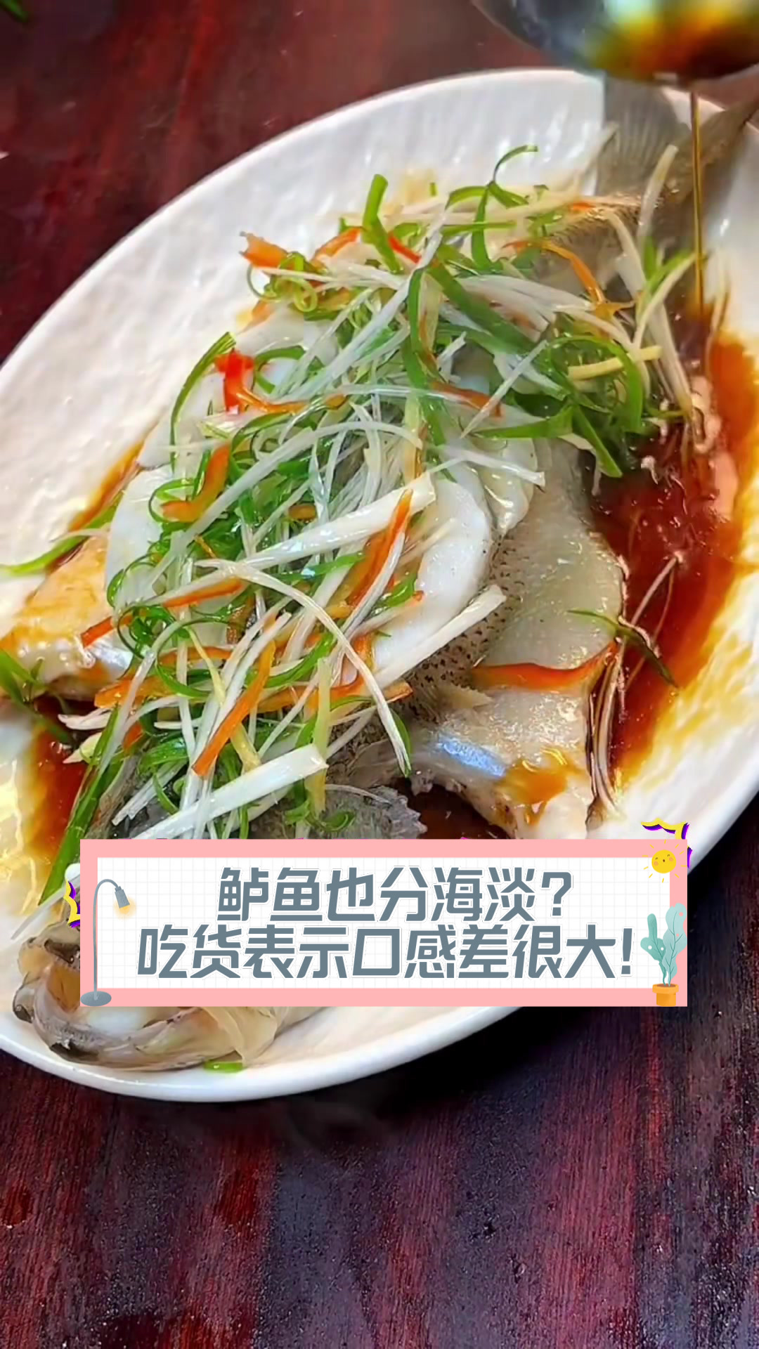 鲈鱼也分海淡?吃货表示口感差很大!