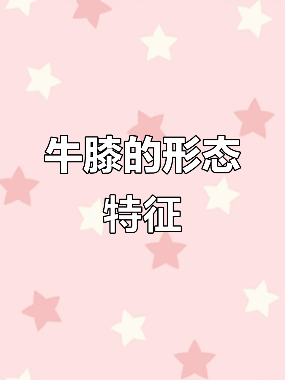 牛膝,草本植物,四棱茎,夏季开花