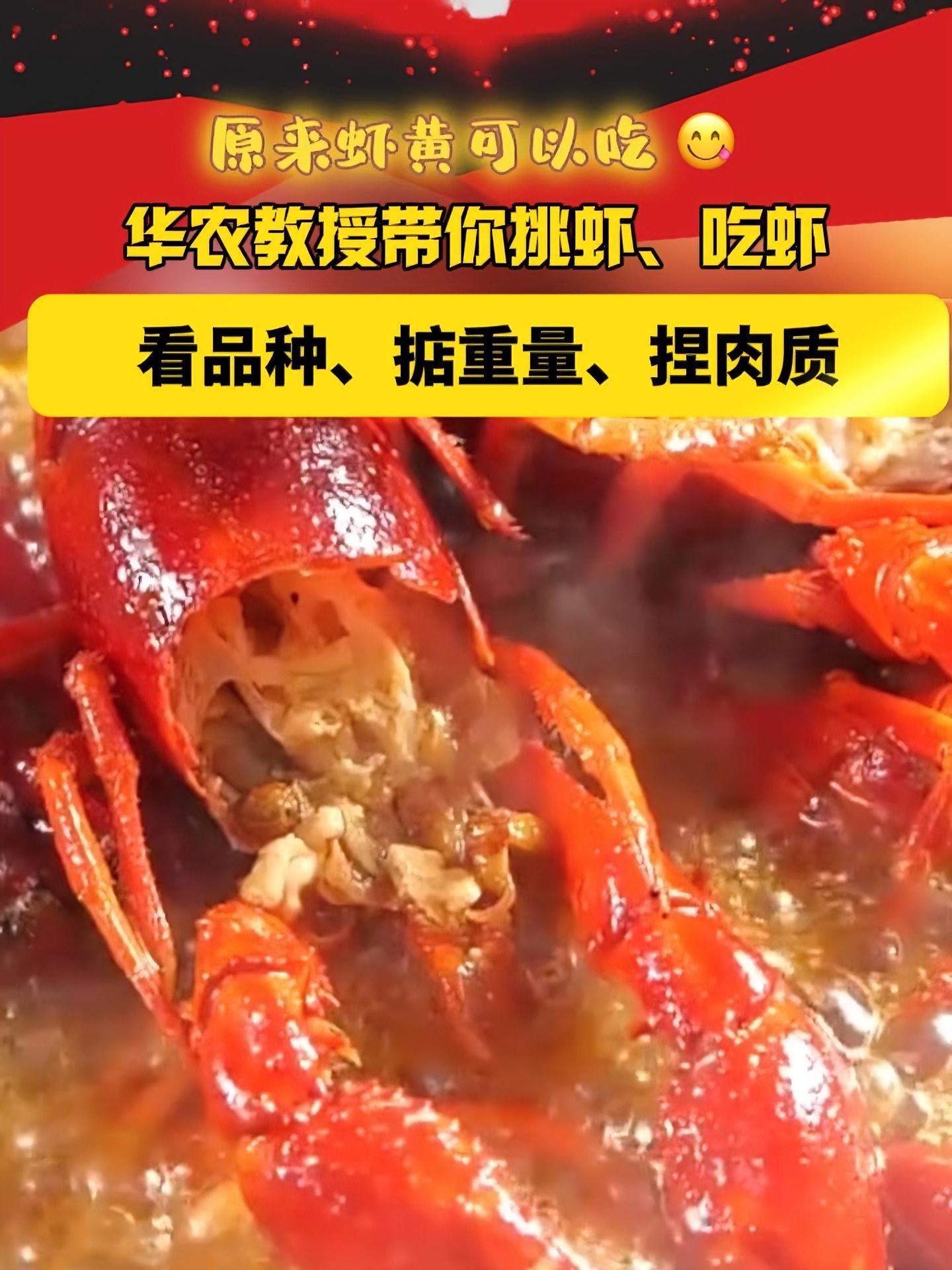 小布分享「虾黄可以吃!华农教授带你挑 小龙虾」看色泽、捏肉质、掂重量,华中农业大学水产学教