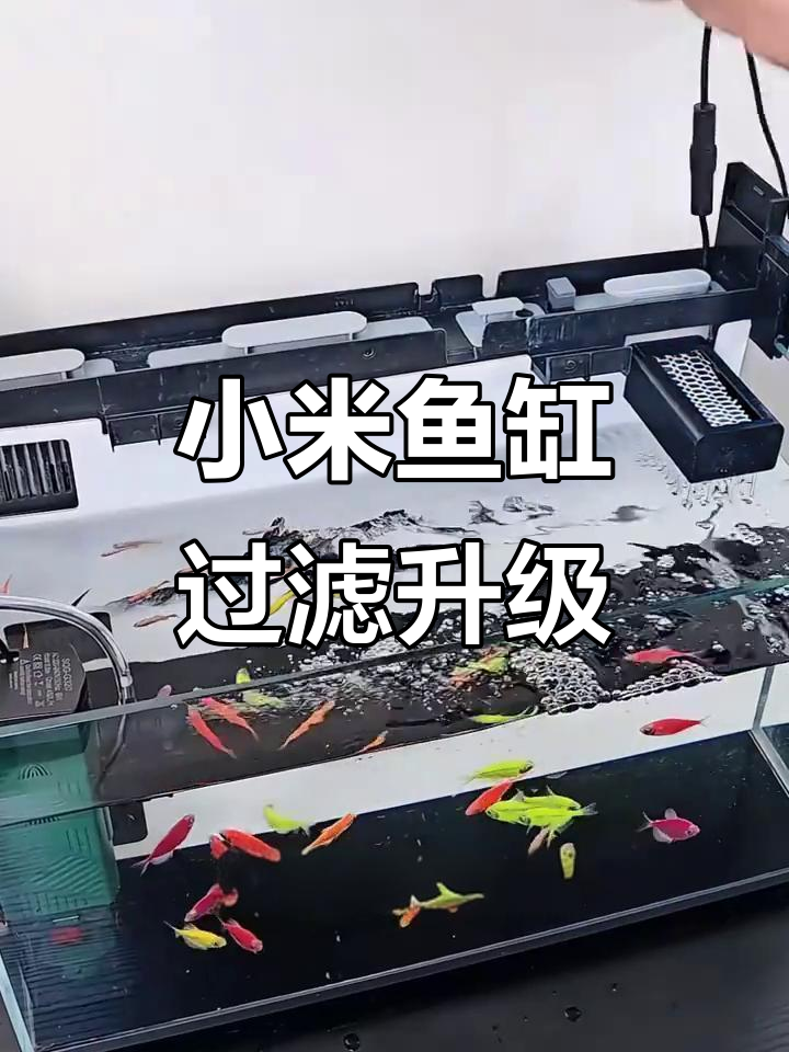 小米鱼缸加热仓改造,提升水质稳定的关键