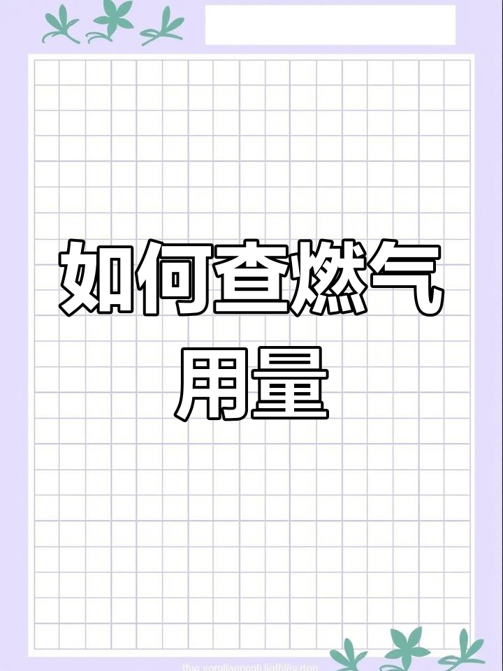 查询天然气使用量与缴费记录,对比日月差距