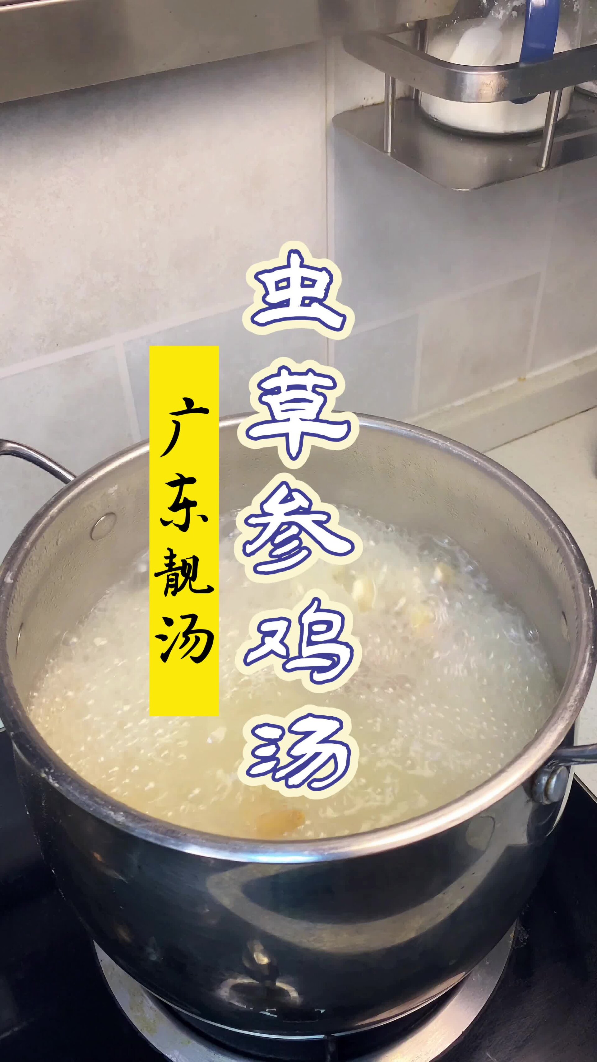 虫草参鸡汤 广东靓汤 虫草参也叫地参 适合秋冬转季天气饮用