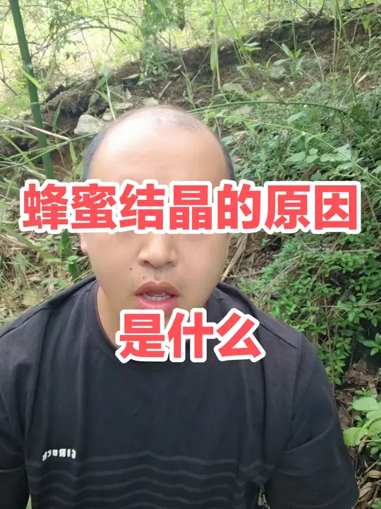 揭秘蜂蜜结晶背后的真正原因