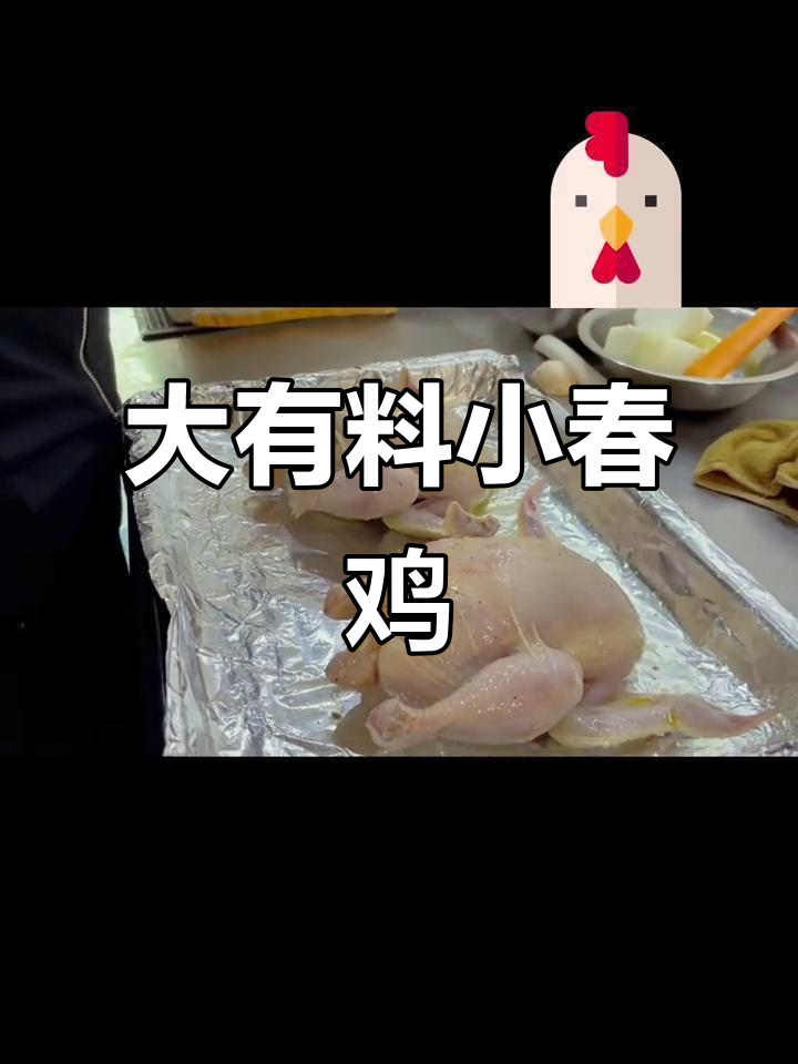 小春鸡肚子里的神秘惊喜,等你来揭秘!