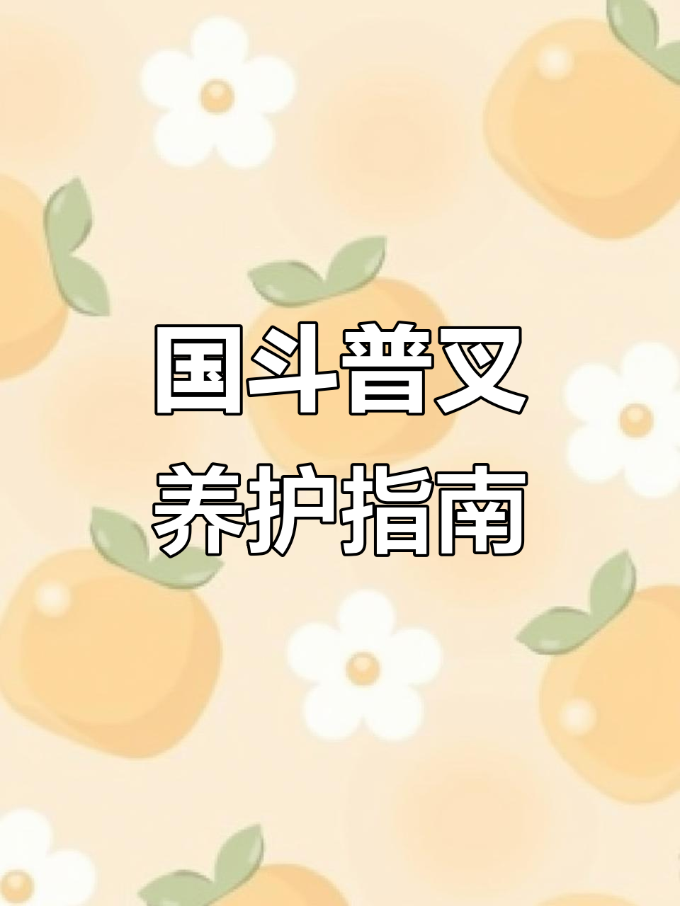 轻松养鱼,快乐观赏!国斗普叉养殖技巧大公开