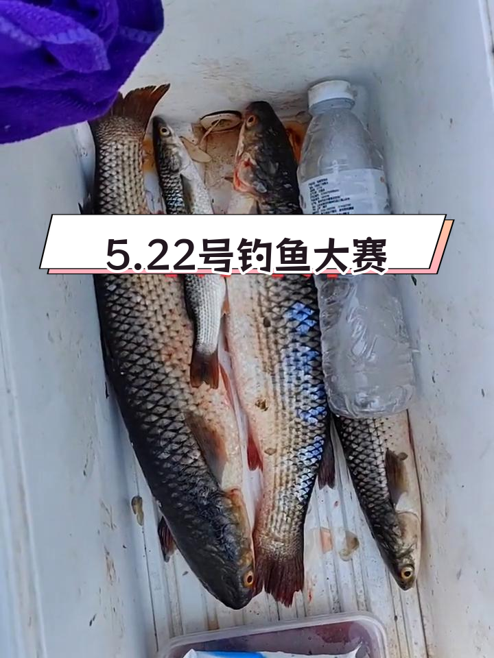 潍坊港钓梭鱼鲻鱼活动启动,快来体验