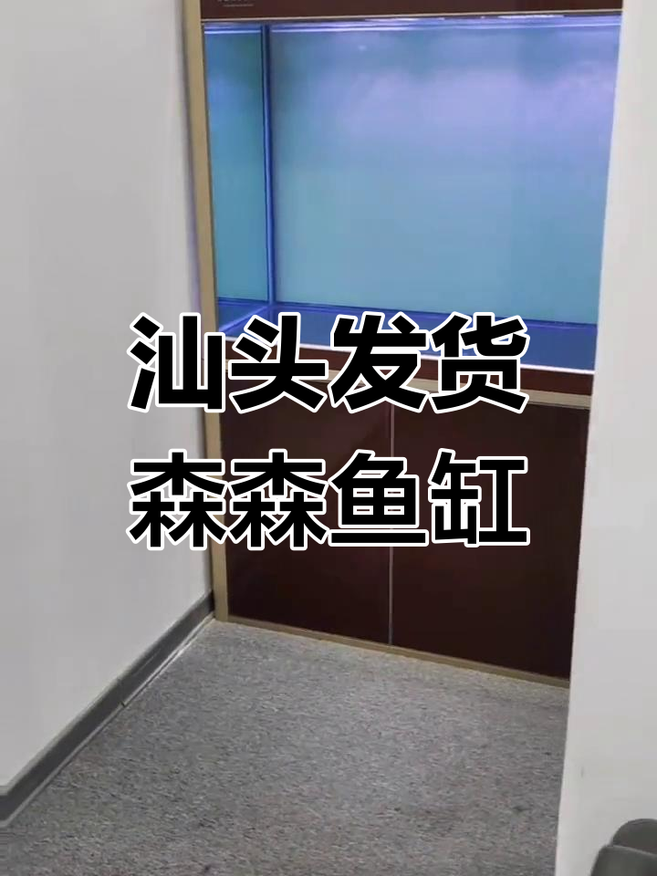 汕头森森1米5龙鱼缸送装完工,完美呈现水族魅力