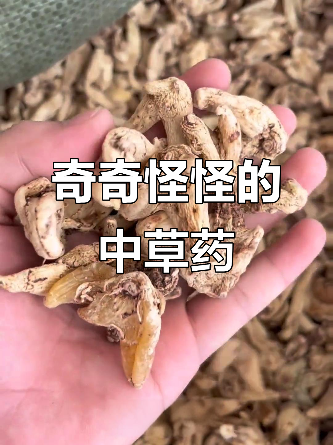 这些中药材你认识吗?看看这些奇怪的名字和价格