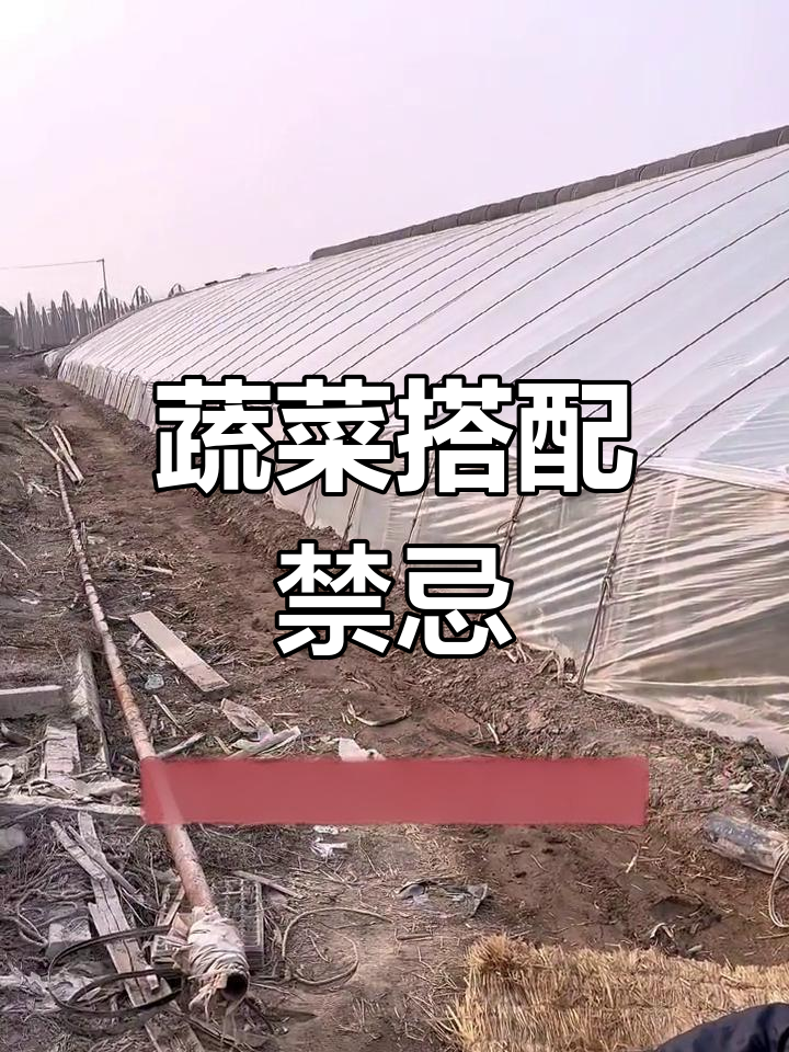 蔬菜搭配禁忌,千万别放一起!