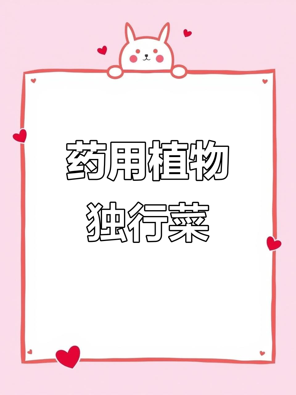 独行菜全草入药,清热解毒、消肿止痛