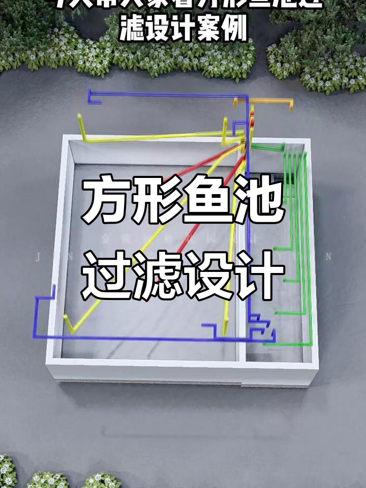 方形鱼池过滤系统全解析，打造高效水质净化