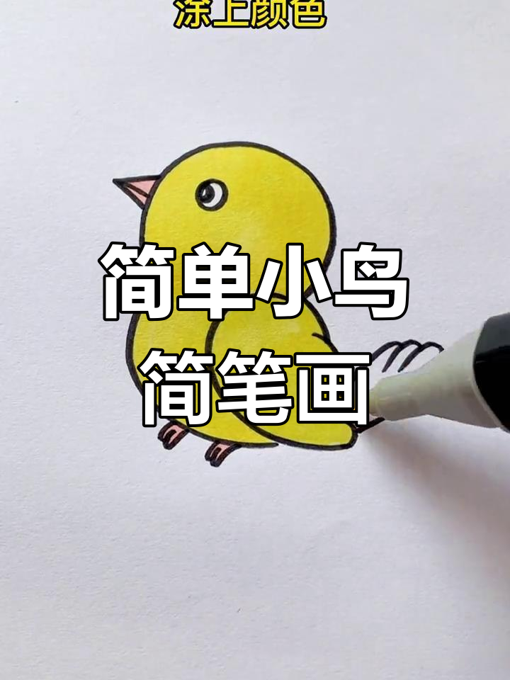 小鸟简笔画步骤详解,轻松学会画可爱小鸟