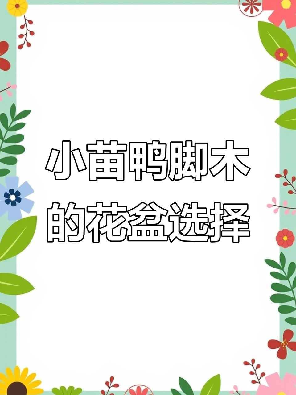 鸭脚木小苗如何选花盆?掌握这些技巧,轻松养护