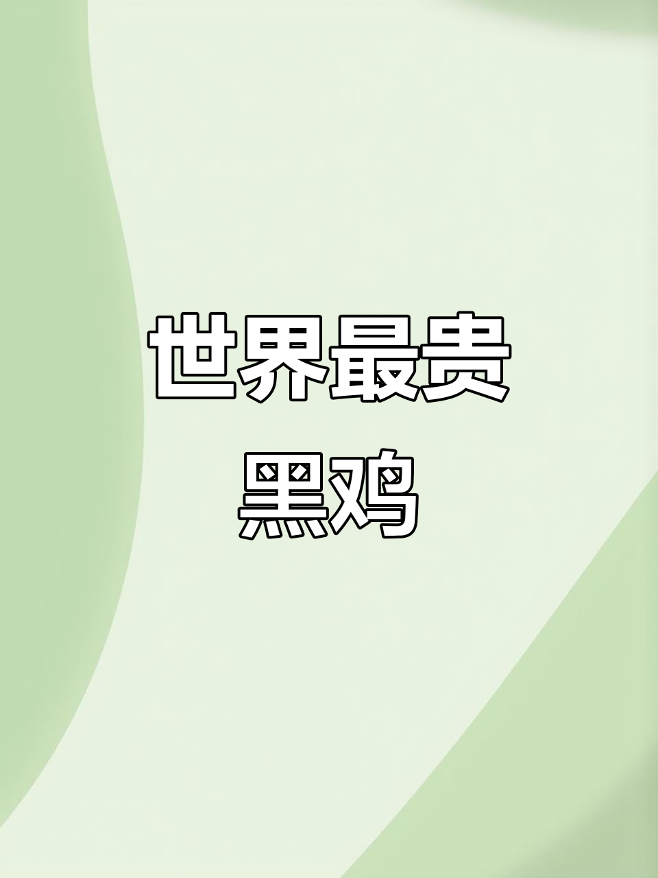 世界上最稀有、最昂贵的黑鸡,全身几乎都是黑色