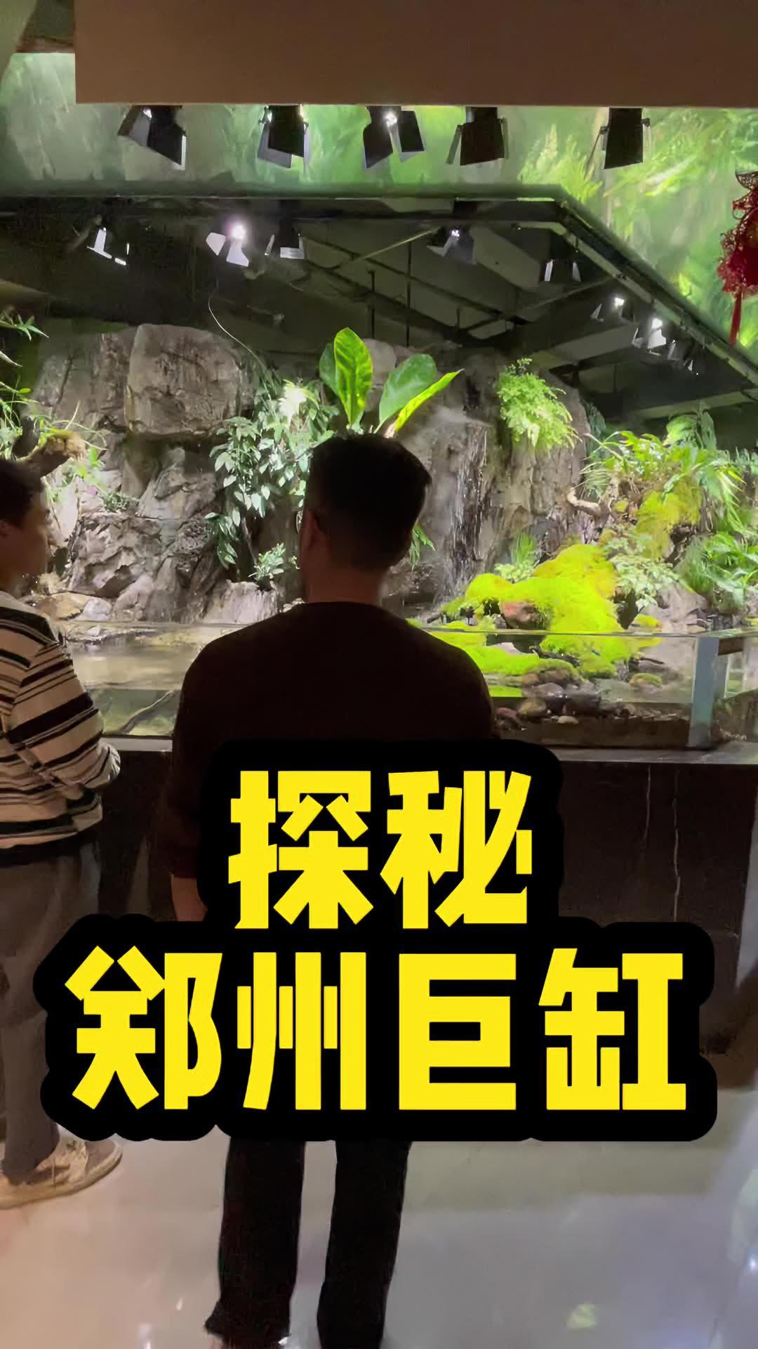 一个饭店里有几十个鱼缸!让我叹为观止!造景 养鱼人 鱼缸里的大自然 鱼缸 原生鱼