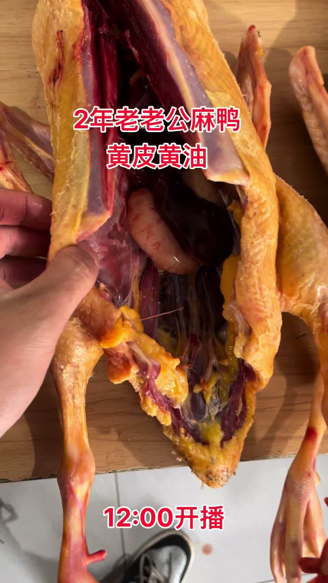 黄皮黄油2年老公鸭需要的赶快来哦 老鸭 土鸡土鸭 生态散养 鸡鸭鹅