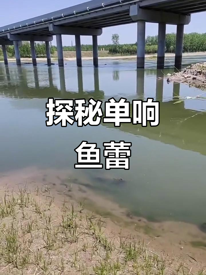 单响鱼蕾:探索独特的声音魅力