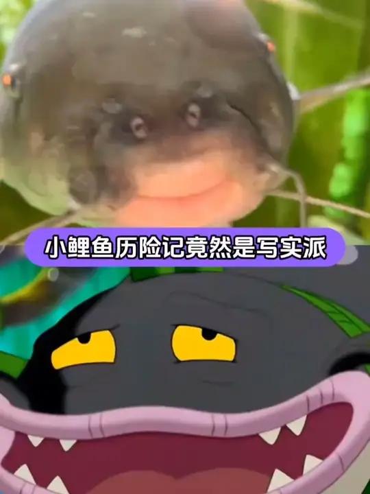 原来小鲤鱼历险记是写实派啊