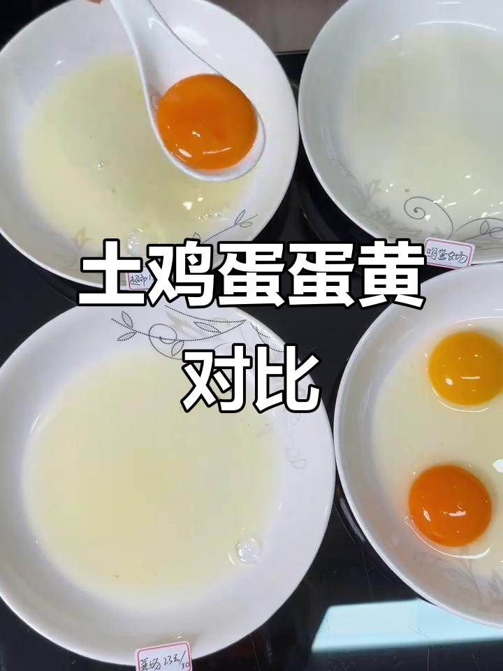 正宗土鸡蛋蛋黄大比拼,哪种颜色才是最健康的?
