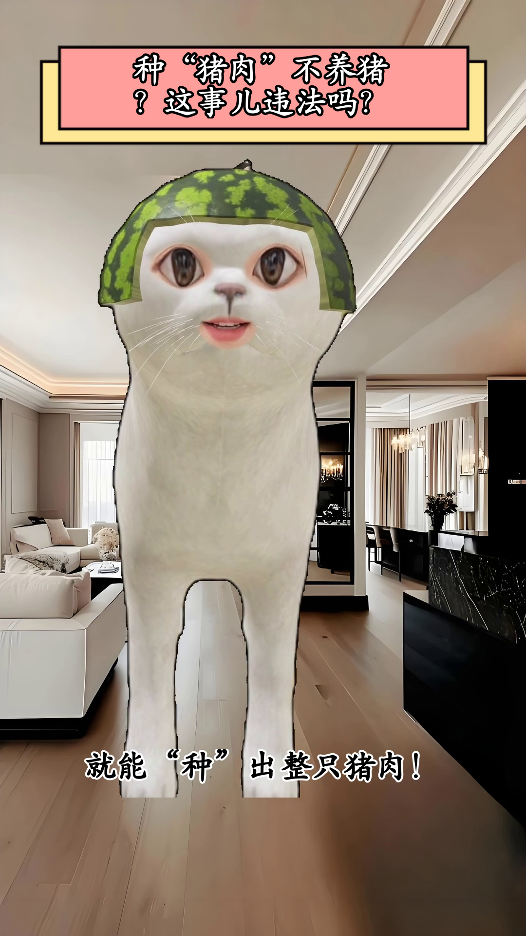 种“猪肉”不养猪？这事儿违法吗？