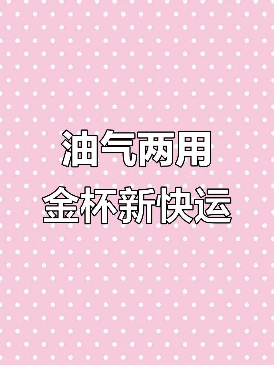 17年金杯新快运,油汽两用超值面包车