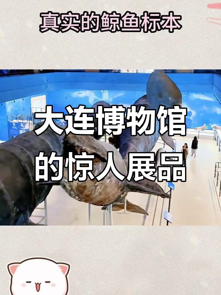 大连自然博物馆震撼揭秘:鲸鱼标本、猛犸象骨架一应俱全