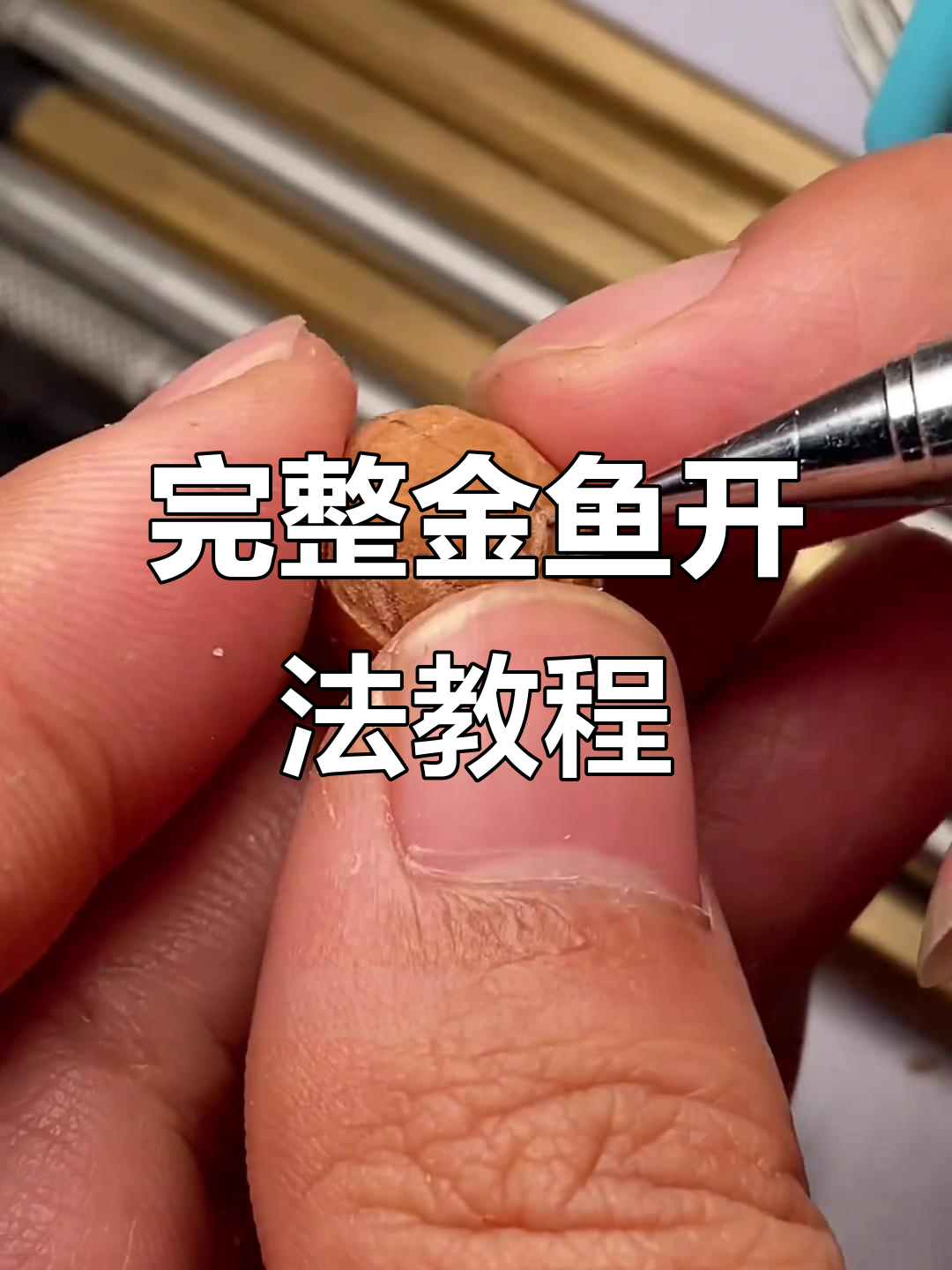 金鱼大型分解教学，详细步骤全解析