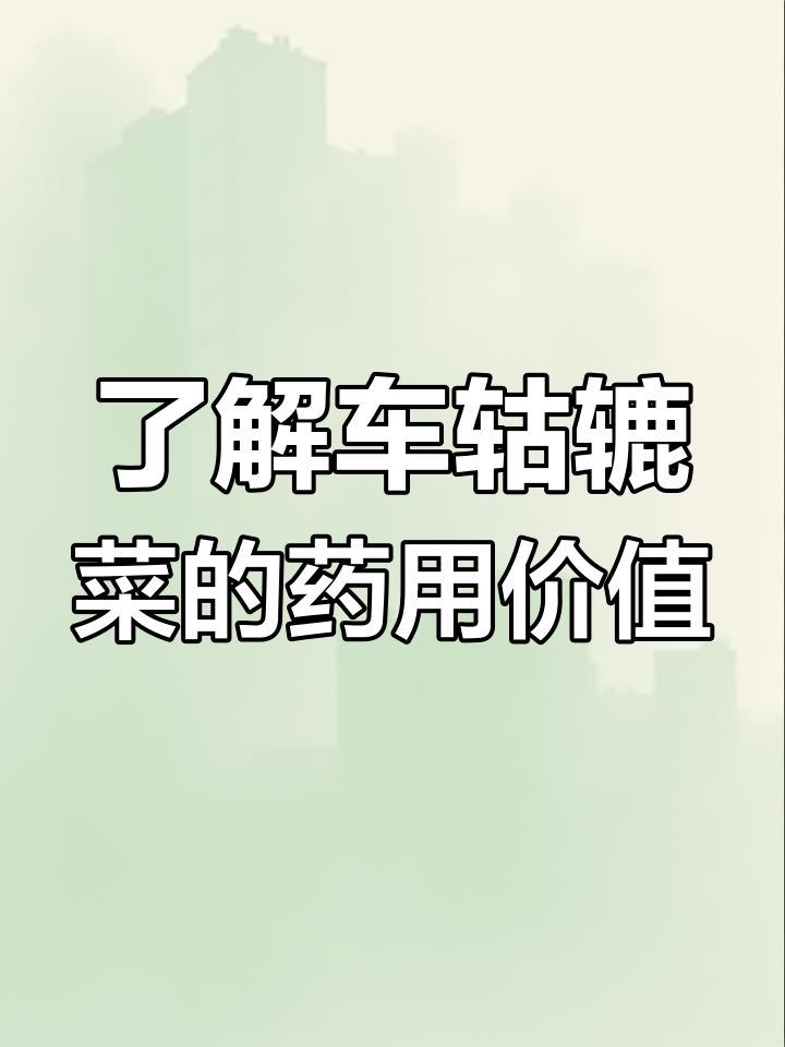 车前草与车前子的功效差异,清热利湿全解析