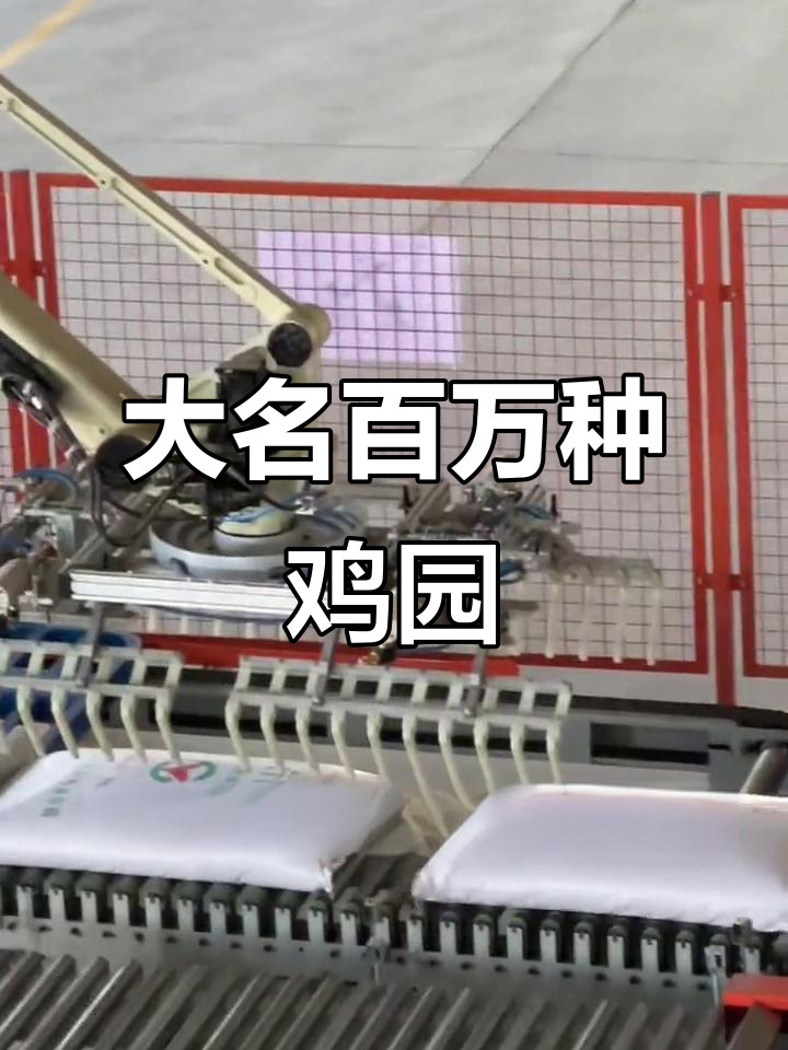 河北大名100万只种鸡产业园,打造现代化养殖基地