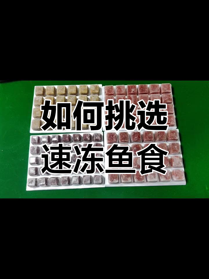 冷冻鱼食选择指南:红虫与丰年虾的优劣
