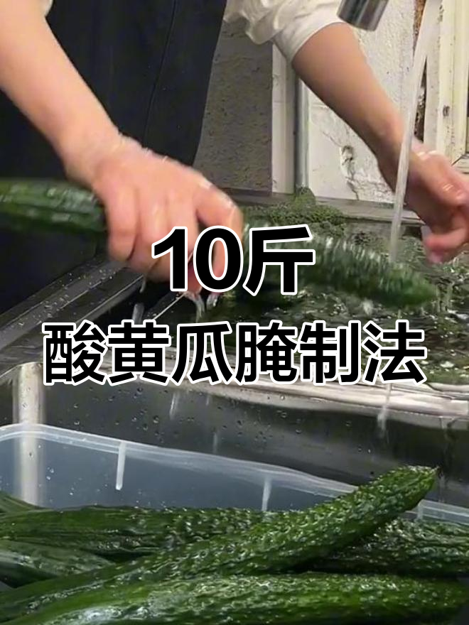 自制酸黄瓜腌制教程,轻松做美味汉堡配菜