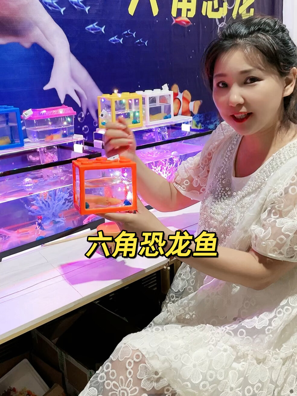 六角恐龙鱼