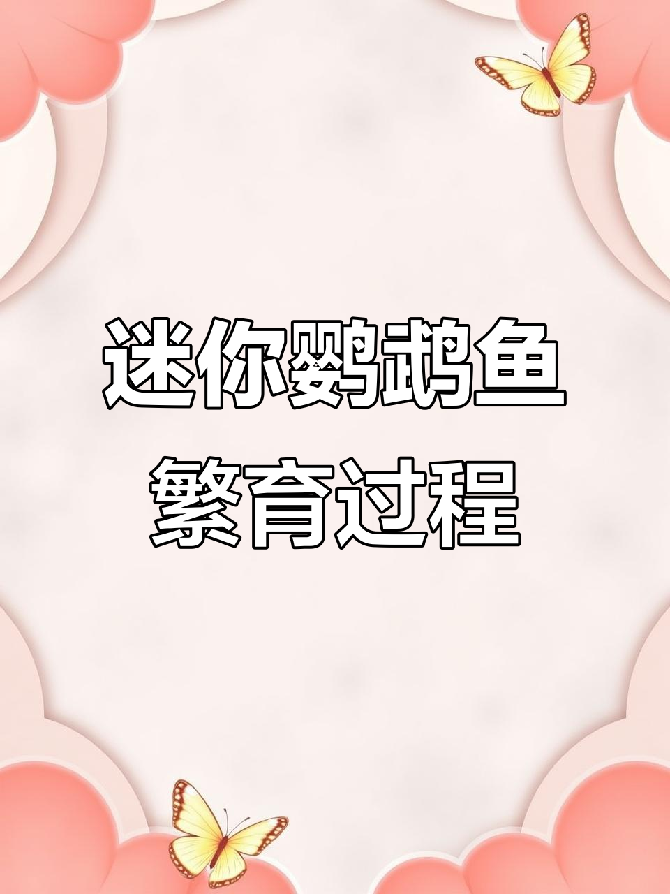 迷你鹦鹉鱼繁殖全纪录:从产卵到小鱼起飞