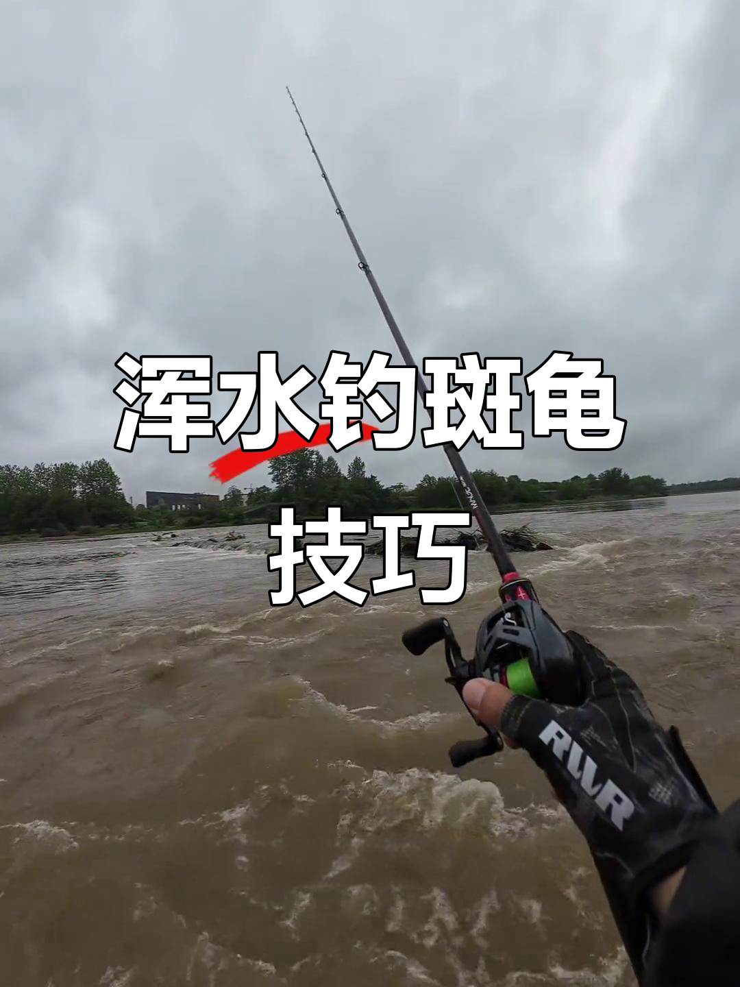 浑水钓鳜鱼技巧大揭秘,如何选择亮色饵料提高捕食成功率