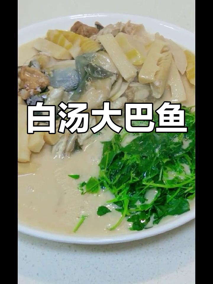 无毒美味大巴鱼,白汤烧法保留原汁