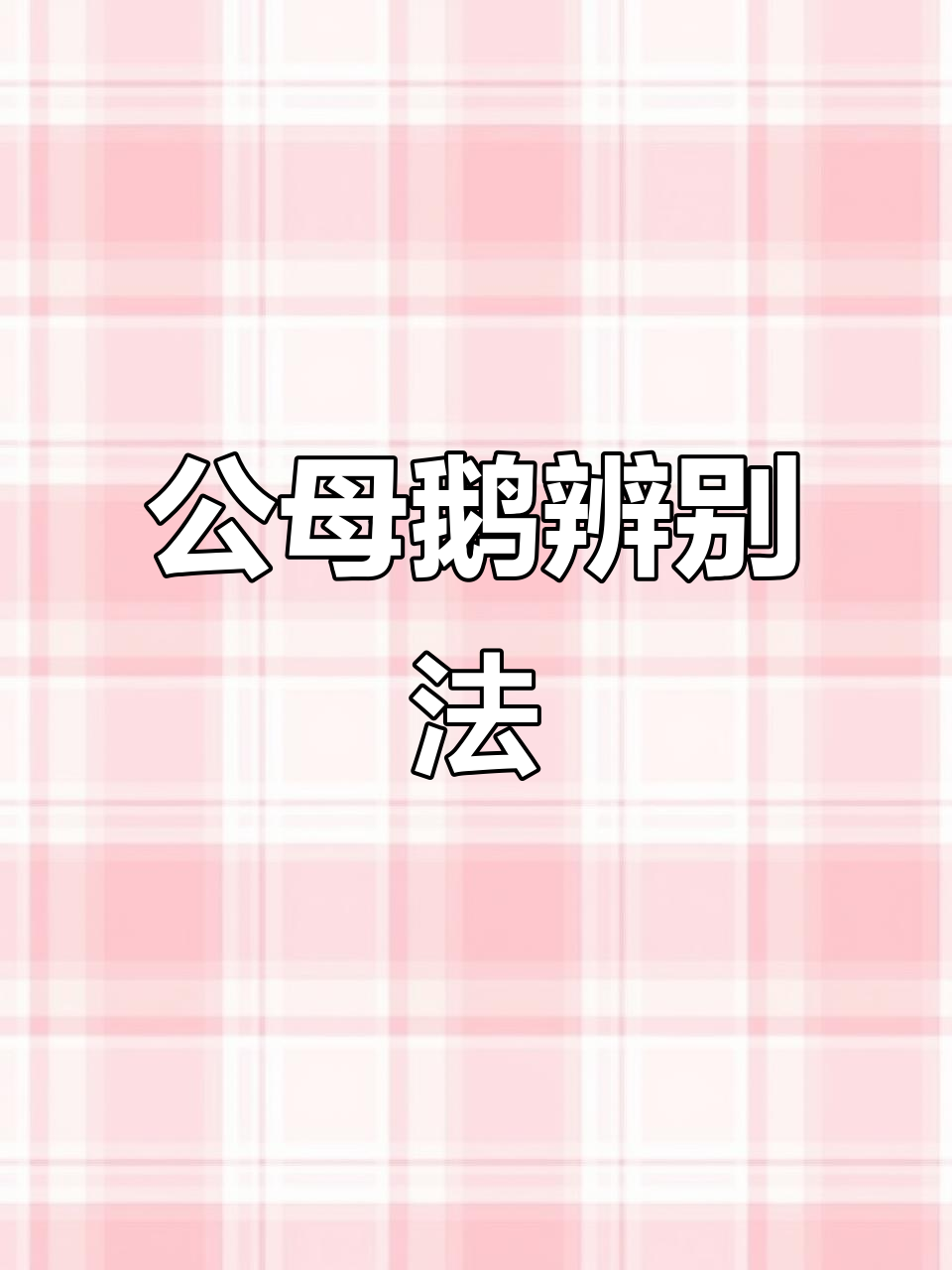 分辨公母鹅,轻松掌握这些技巧