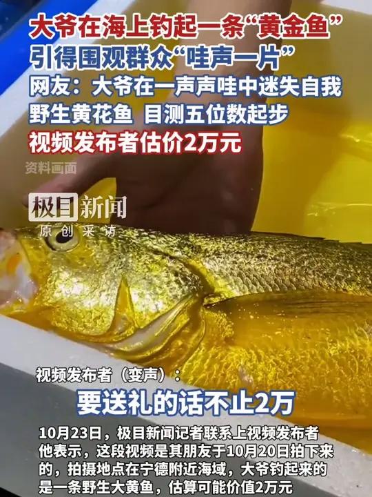 大爷在海上钓起一条“黄金鱼”,引得围观群众“哇声一片”,网友:大爷在一声声哇中迷失自我,视