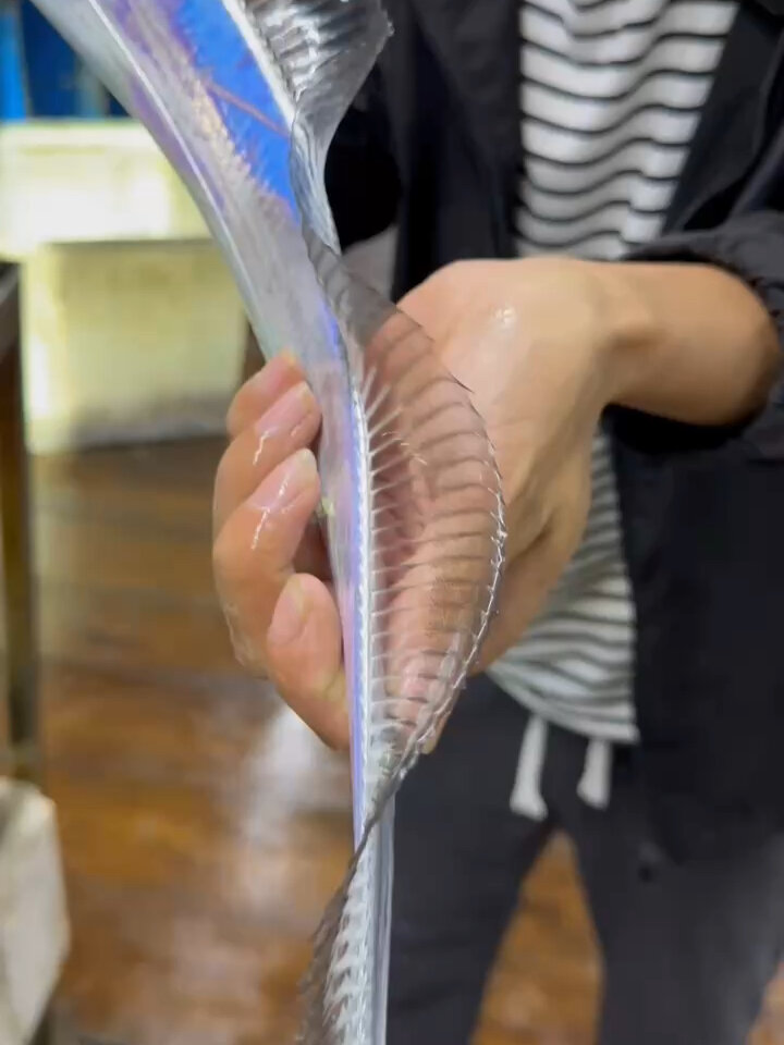 吃带鱼,买带鱼,认准舟山带鱼