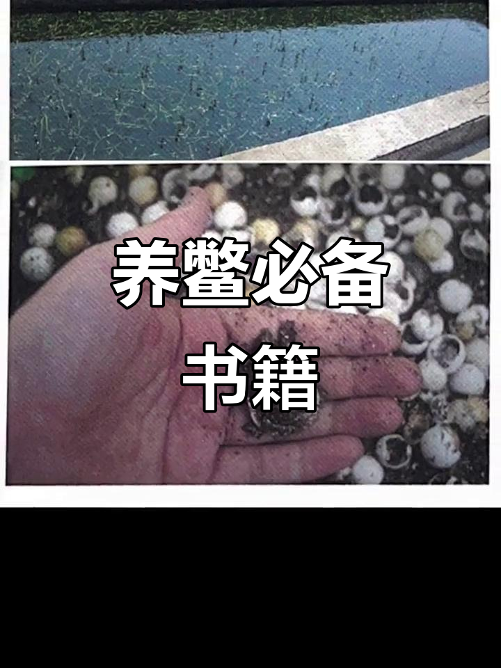 养殖鳖的朋友,带上一本专业书籍吧!