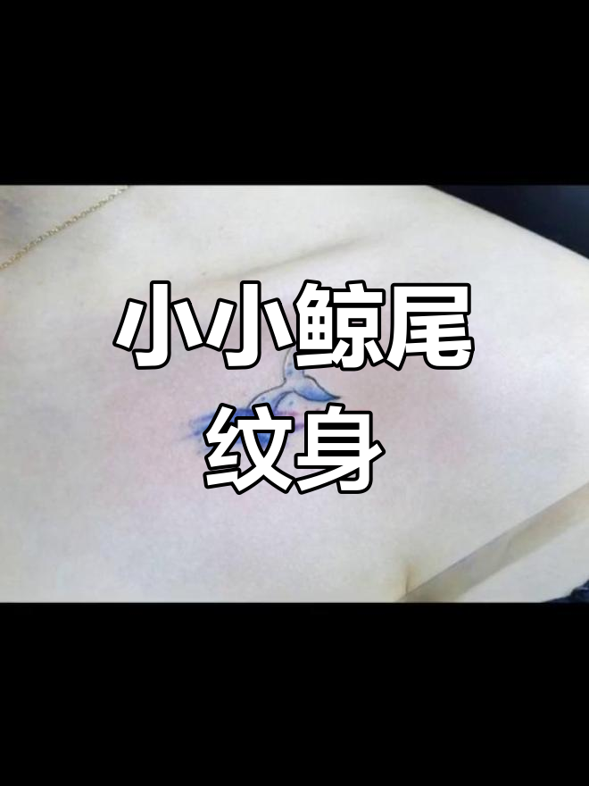 鲸鱼尾巴纹身设计，清新可爱风格展示