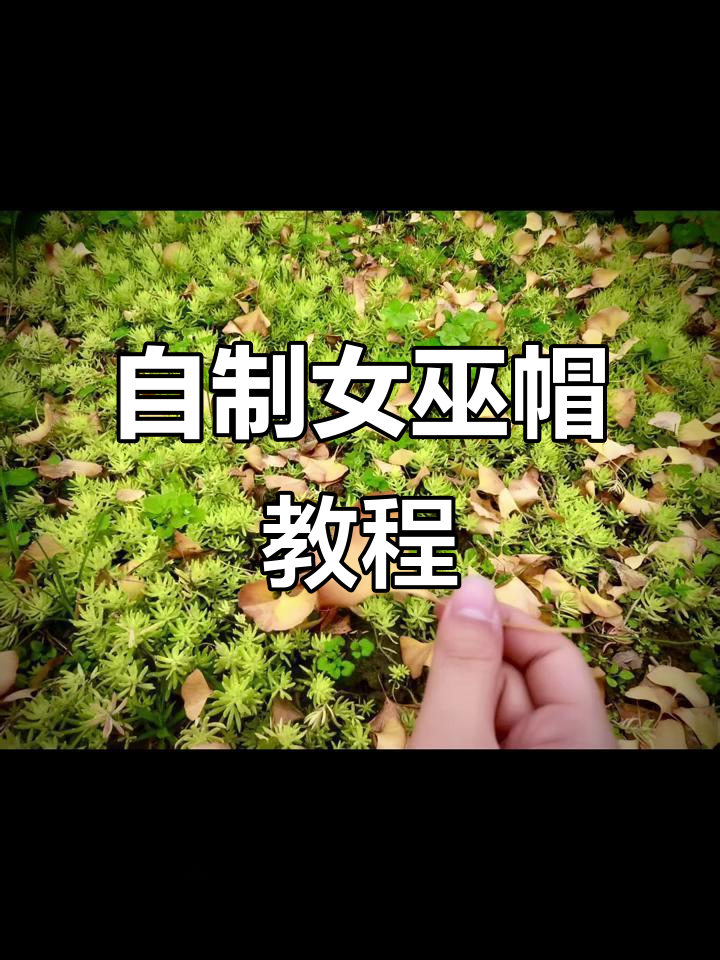 银杏叶女巫帽DIY,轻松做出魔法帽子