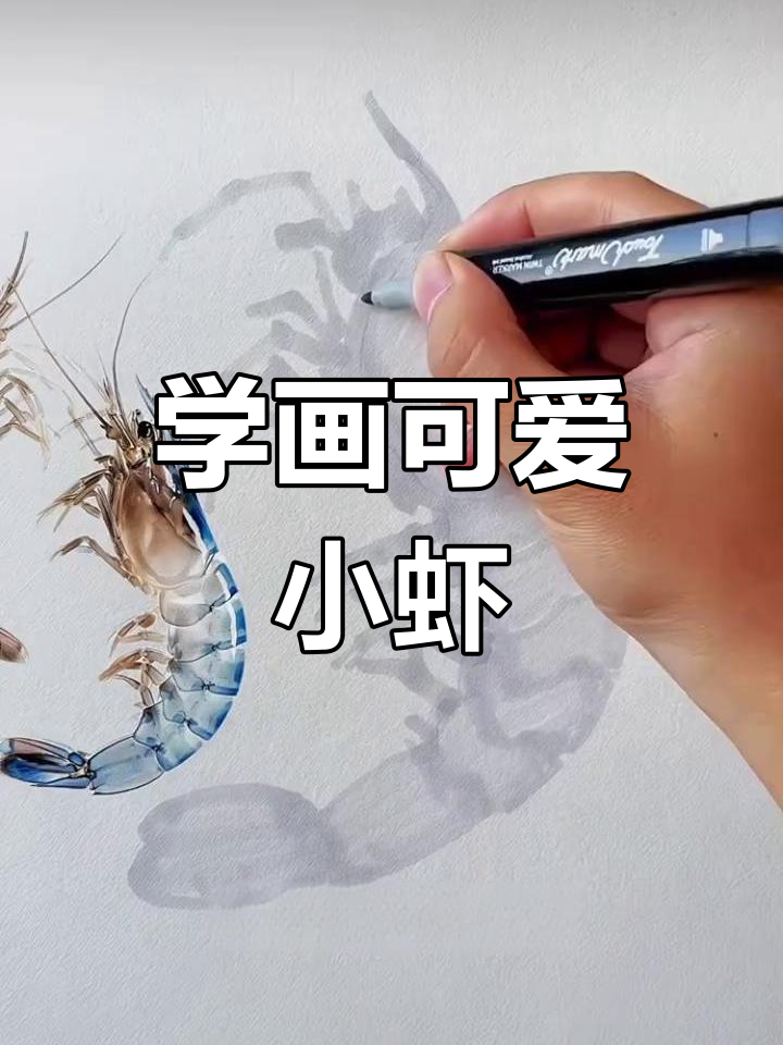 轻松学画透明虾,马克笔技巧大揭秘
