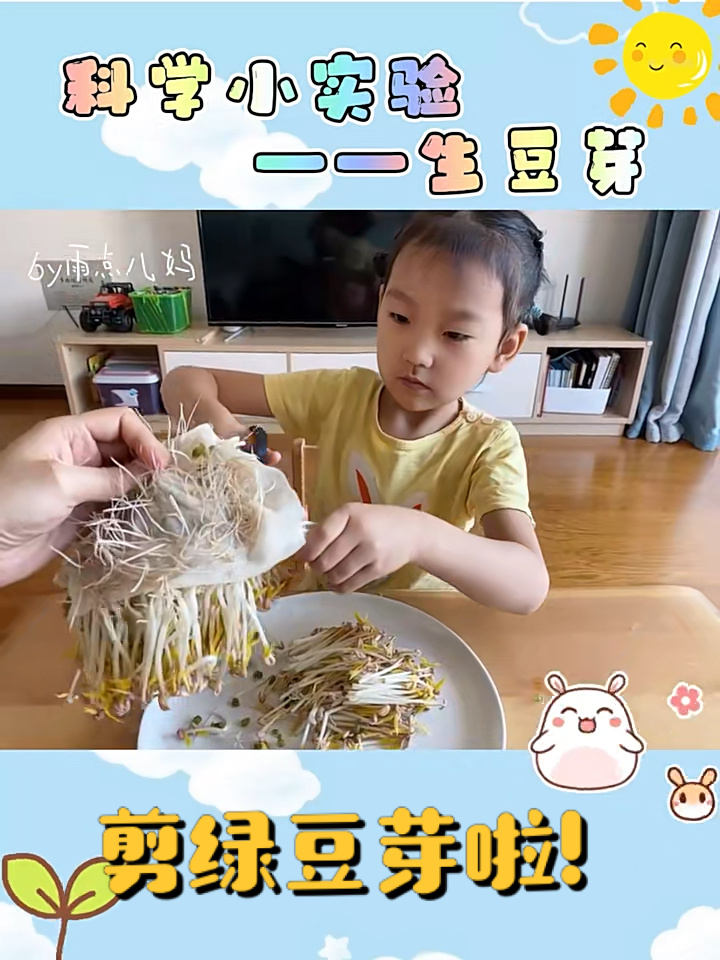 幼儿园|学生科学小实验|生绿豆芽